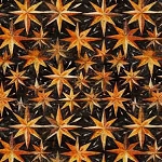 Minky Creepin it Real Stars on Black 30390 J Quilting Treasures